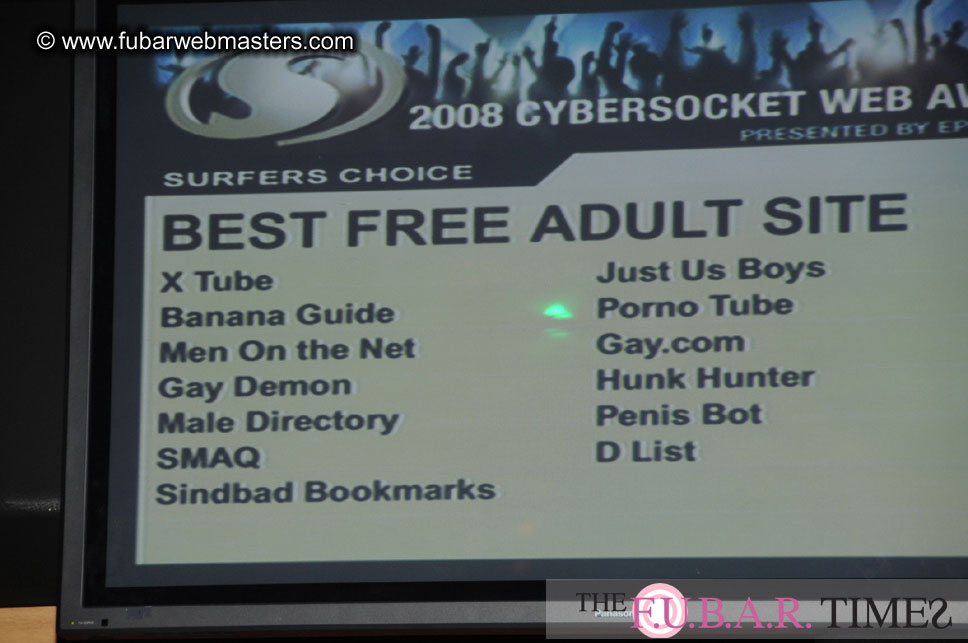 the 8th Annual Cybersocket Web Awards