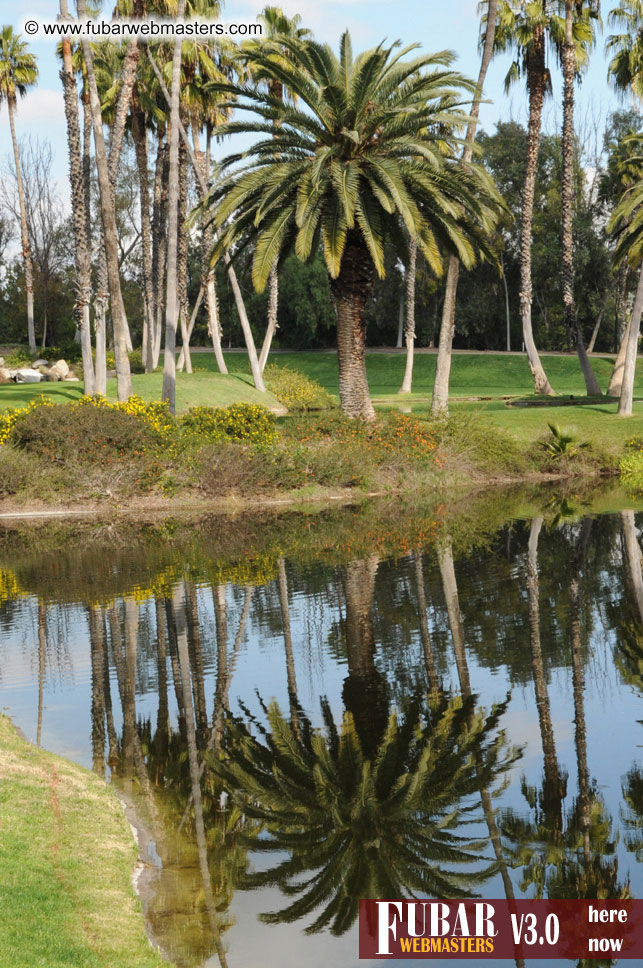 The XBiz Golf Tournament