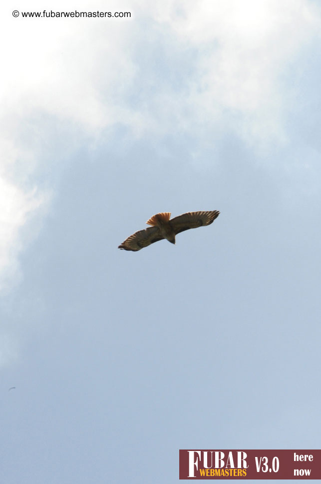 The XBiz Golf Tournament