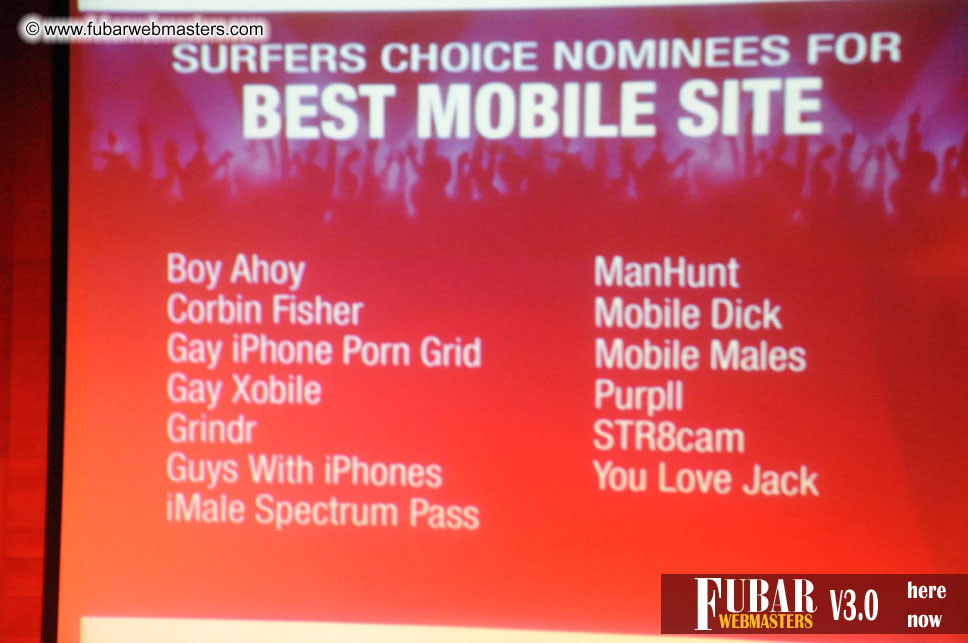 2010 Cybersocket Web Awards