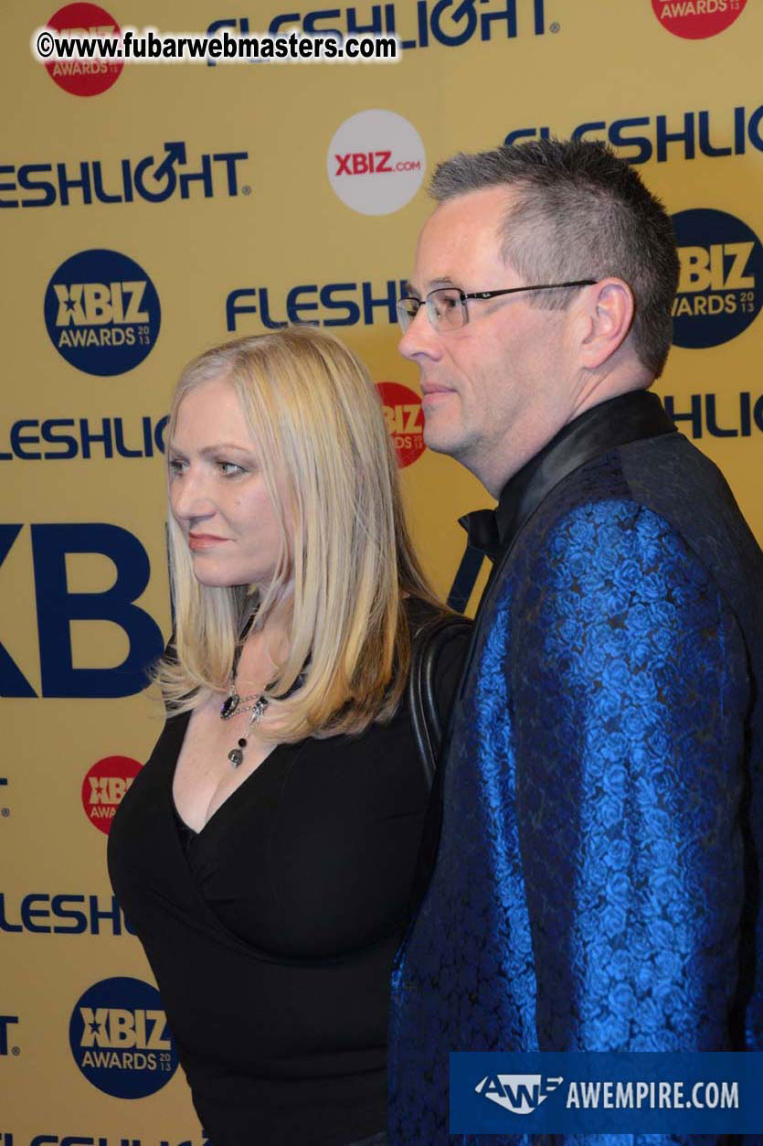 XBIZ Awards 2013