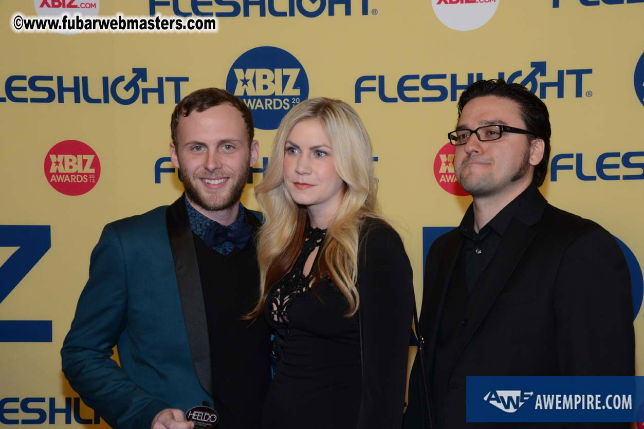 XBIZ Awards 2013