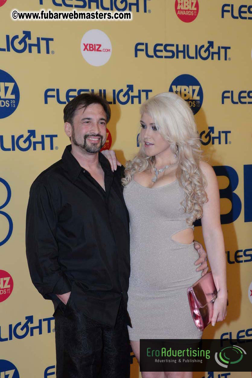 XBIZ Awards 2013