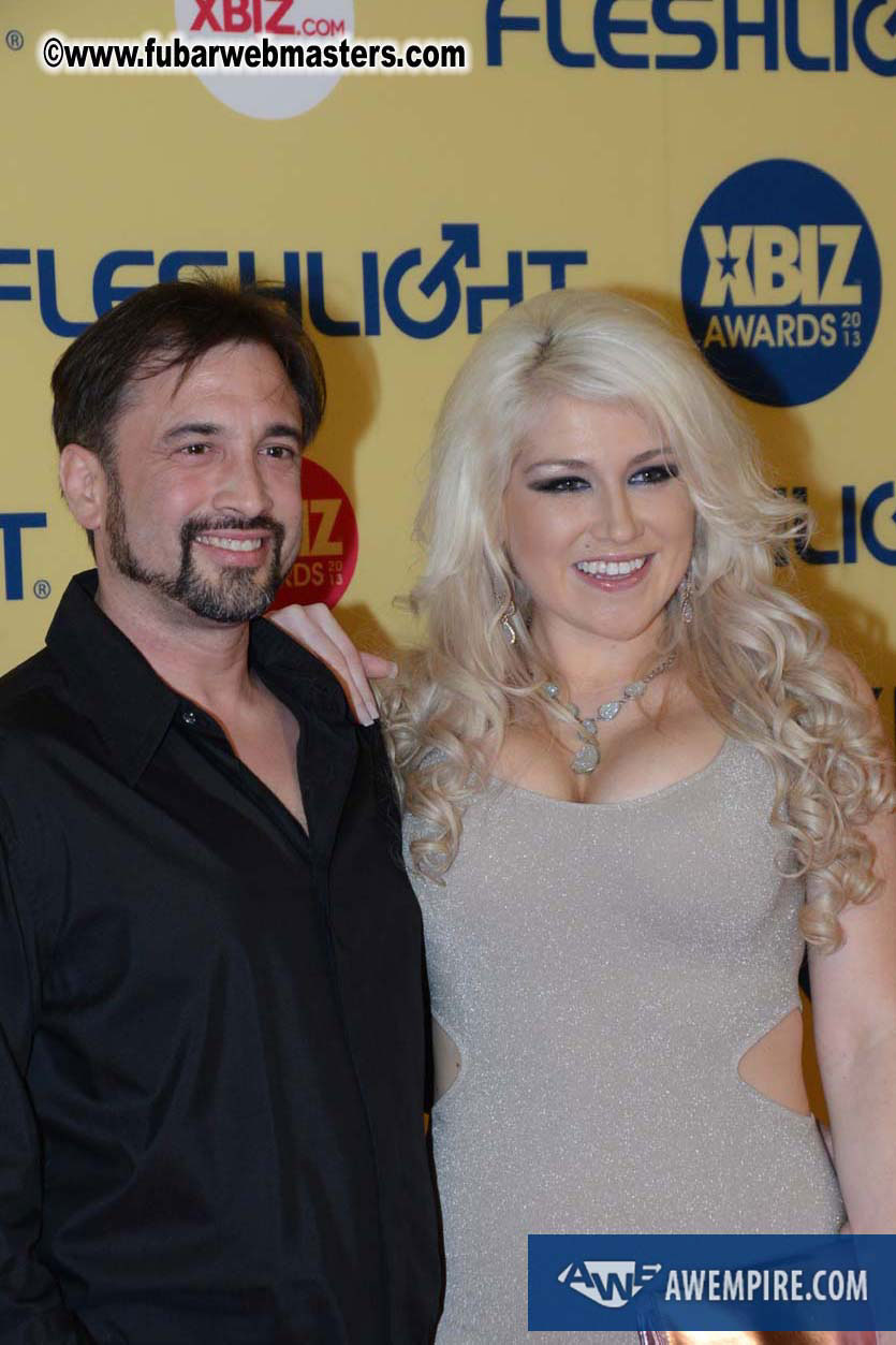 XBIZ Awards 2013