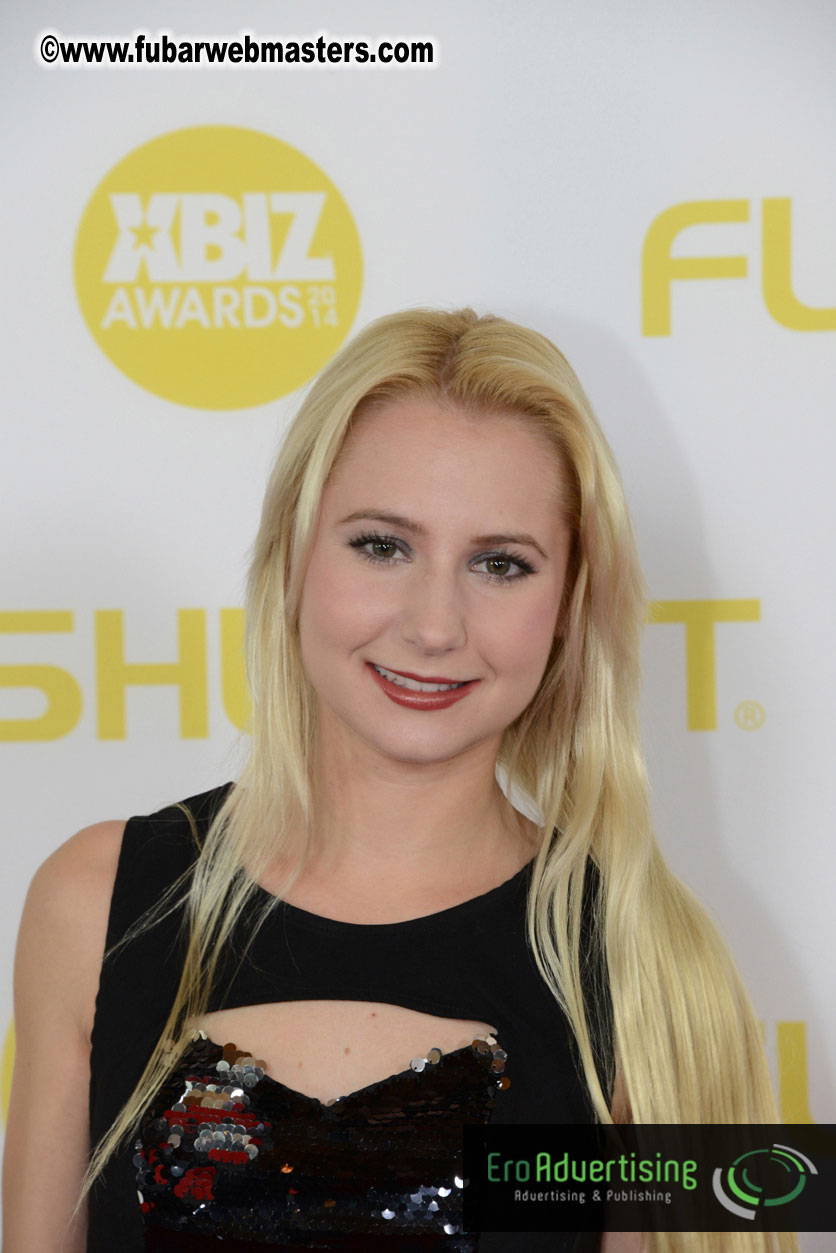 2014 XBIZ Awards