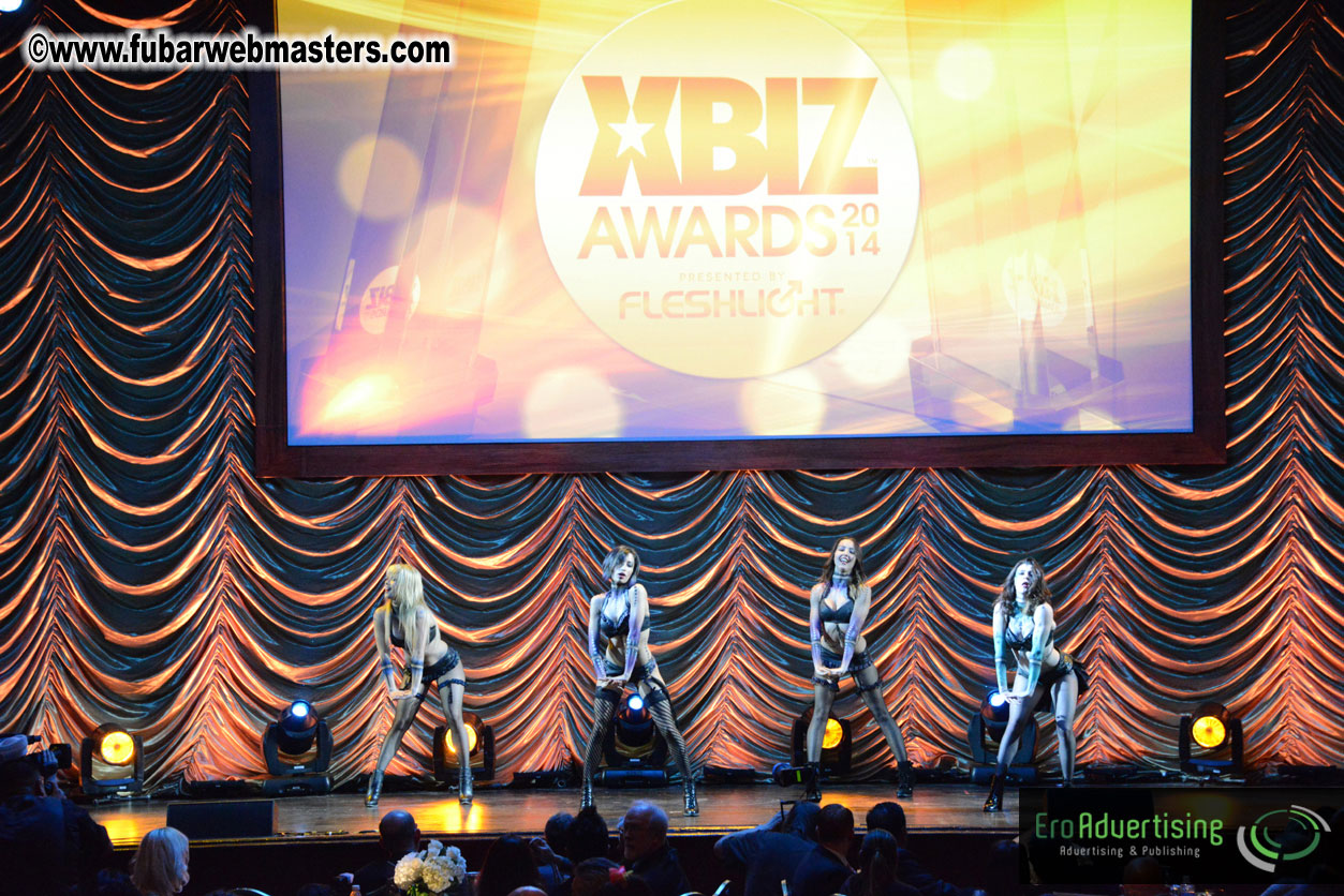 2014 XBIZ Awards