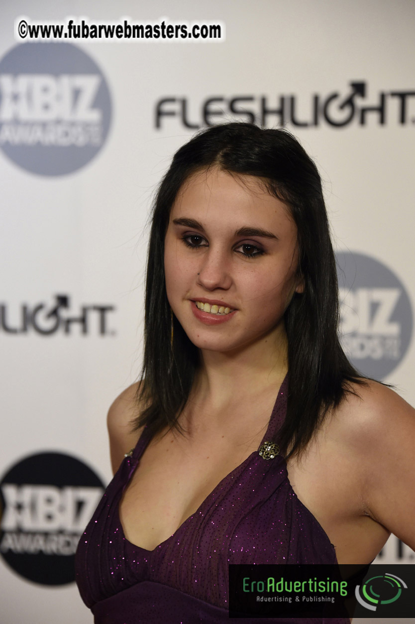 XBIZ Awards