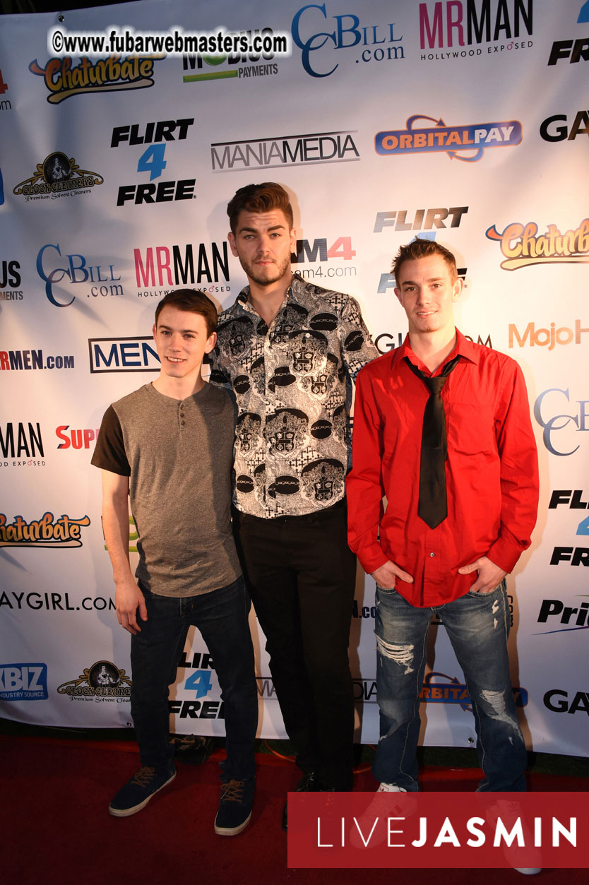 2016 Cybersocket Web Awards