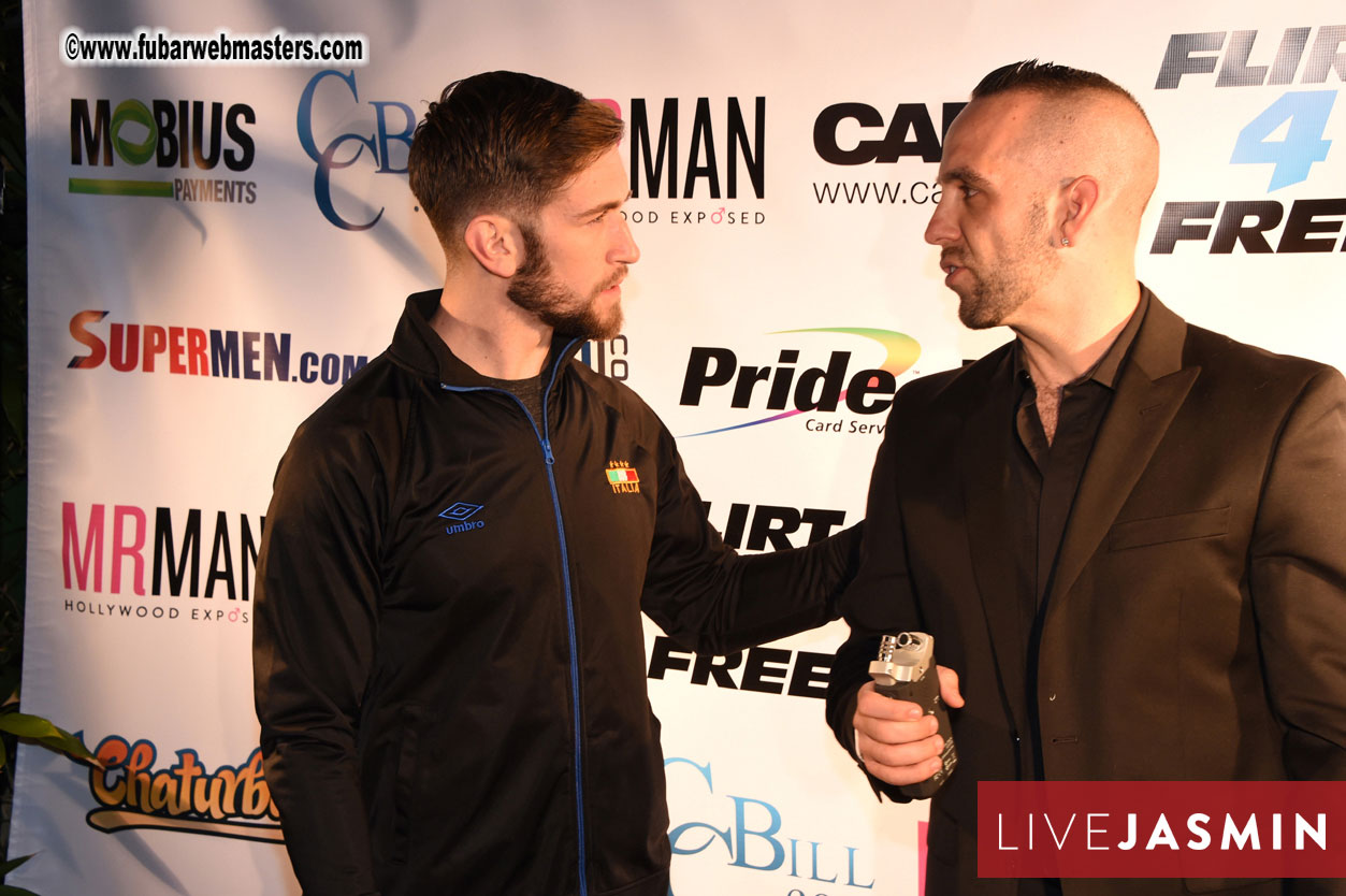 2016 Cybersocket Web Awards