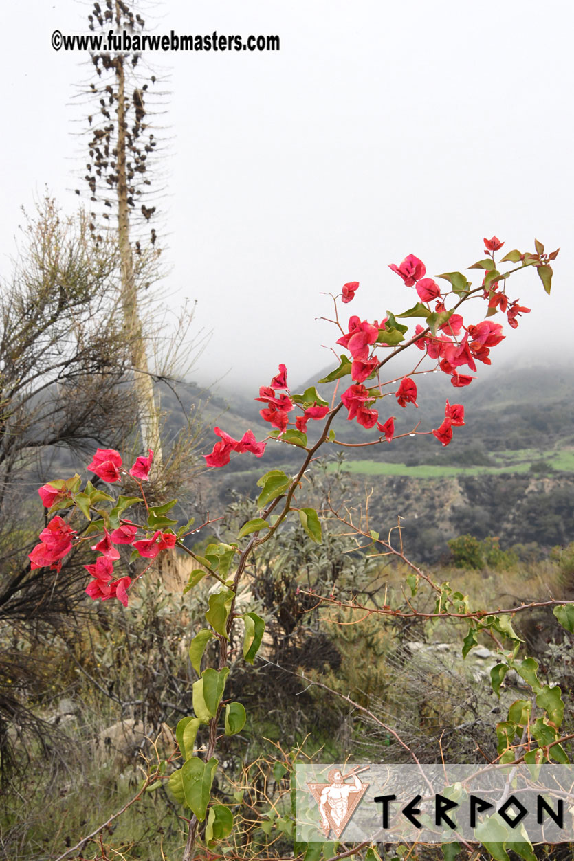 XBIZ Golf Tournament