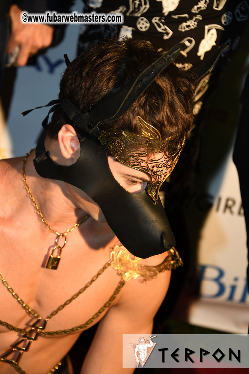 Cybersocket Web Awards