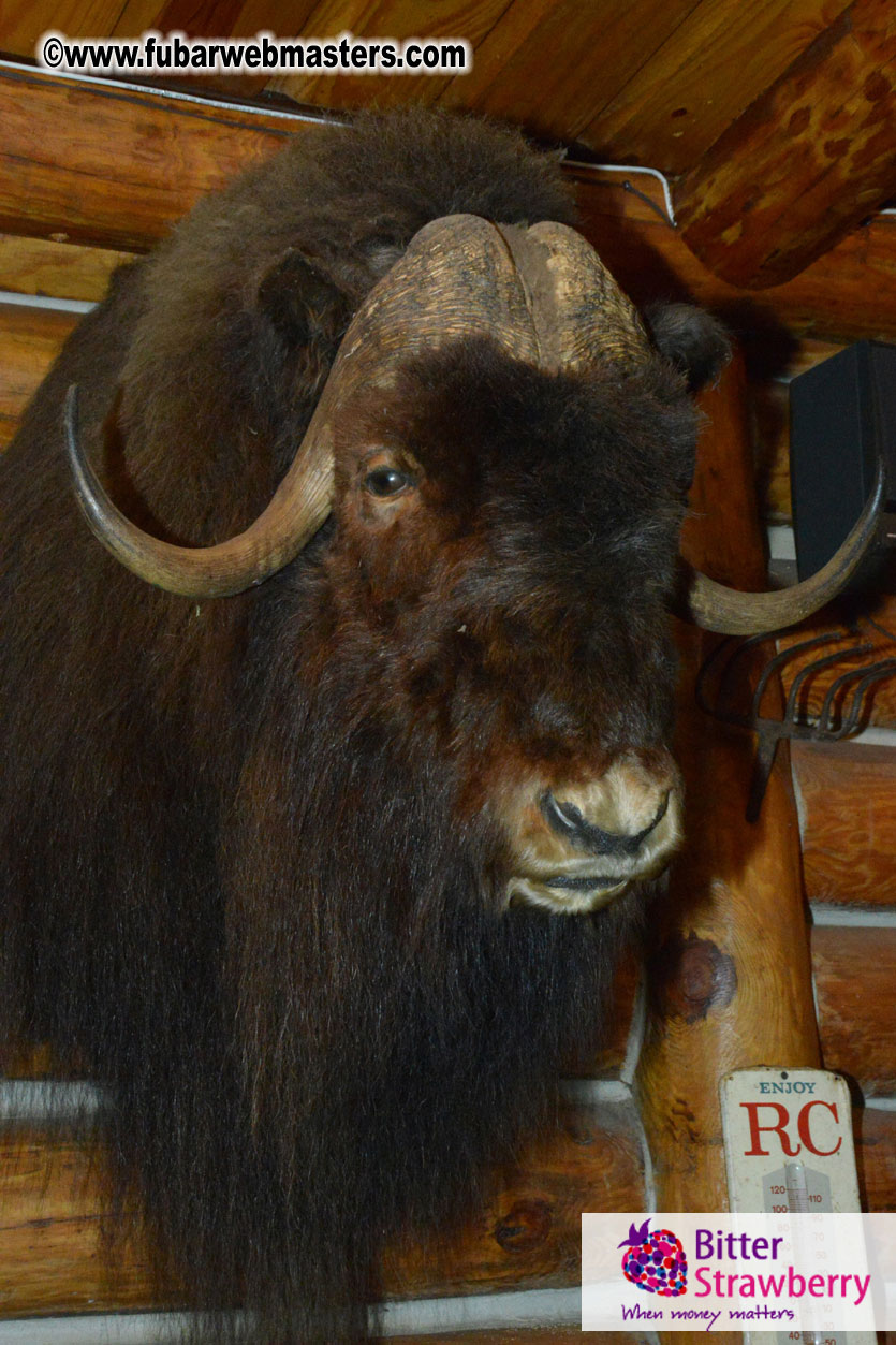 Cybersocket Opening Party