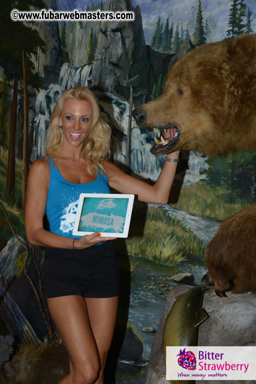 Cybersocket Opening Party