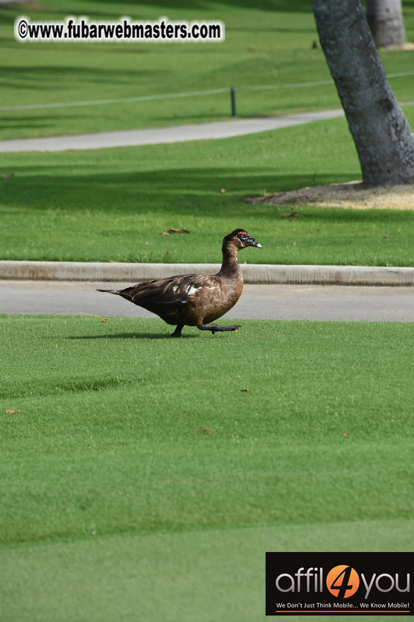 XBIZ Miami Golf Tournament