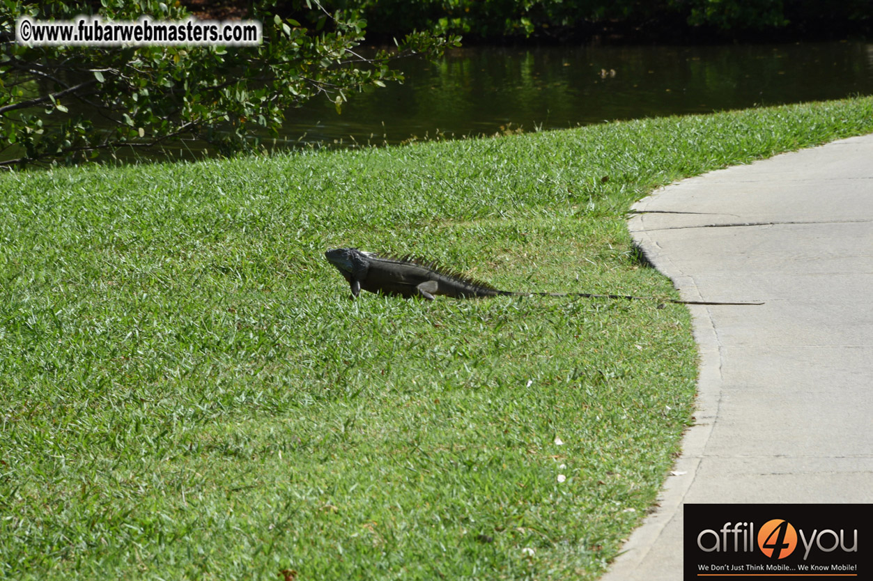 XBIZ Miami Golf Tournament