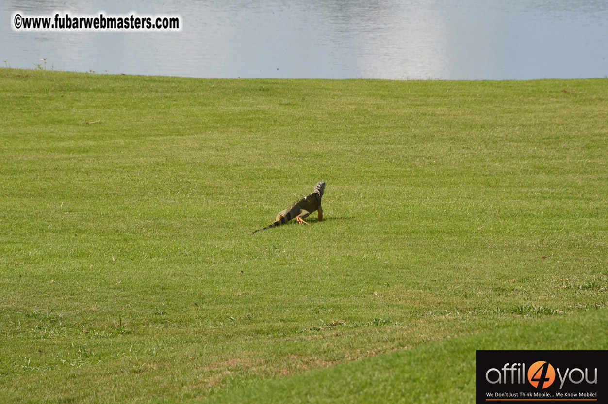 XBIZ Miami Golf Tournament