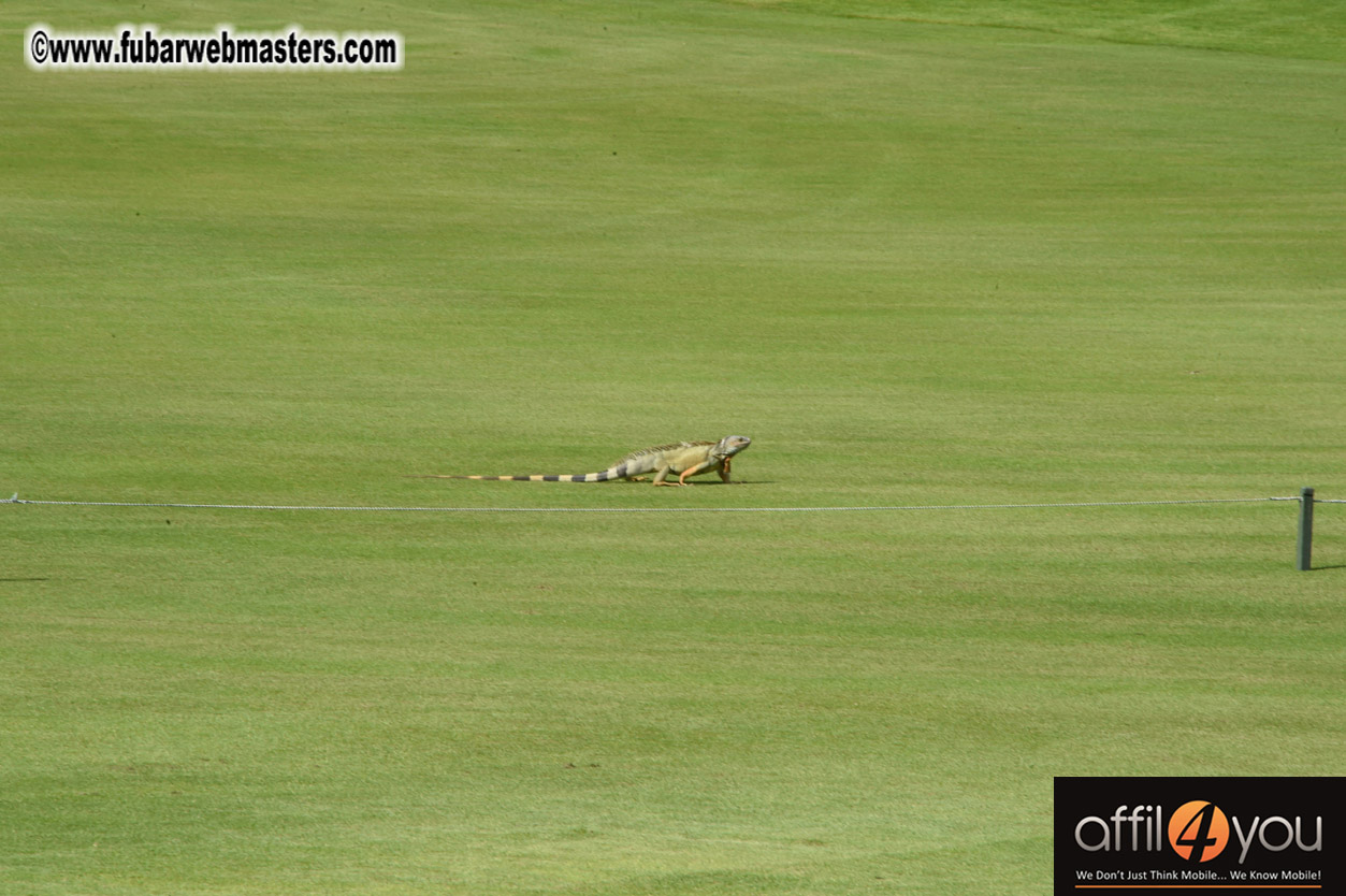 XBIZ Miami Golf Tournament