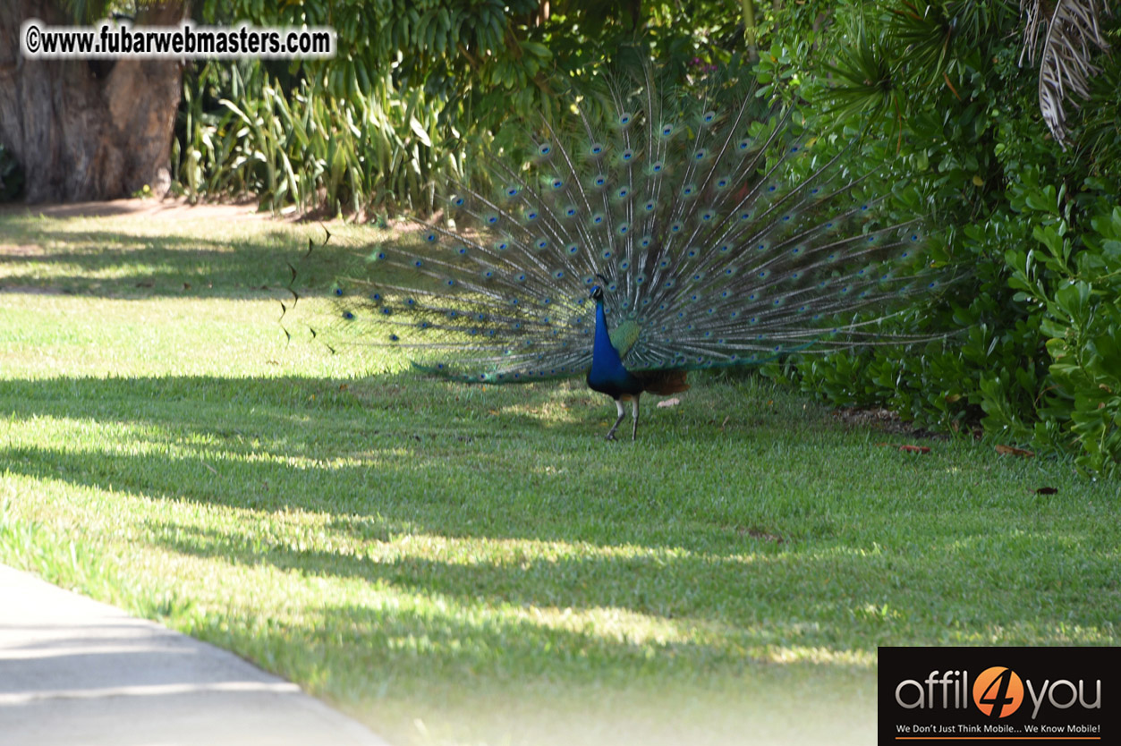 XBIZ Miami Golf Tournament