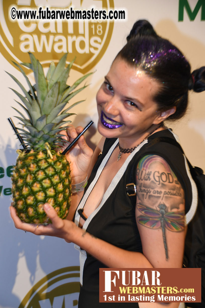 XBIZ Cam Awards Red Carpet