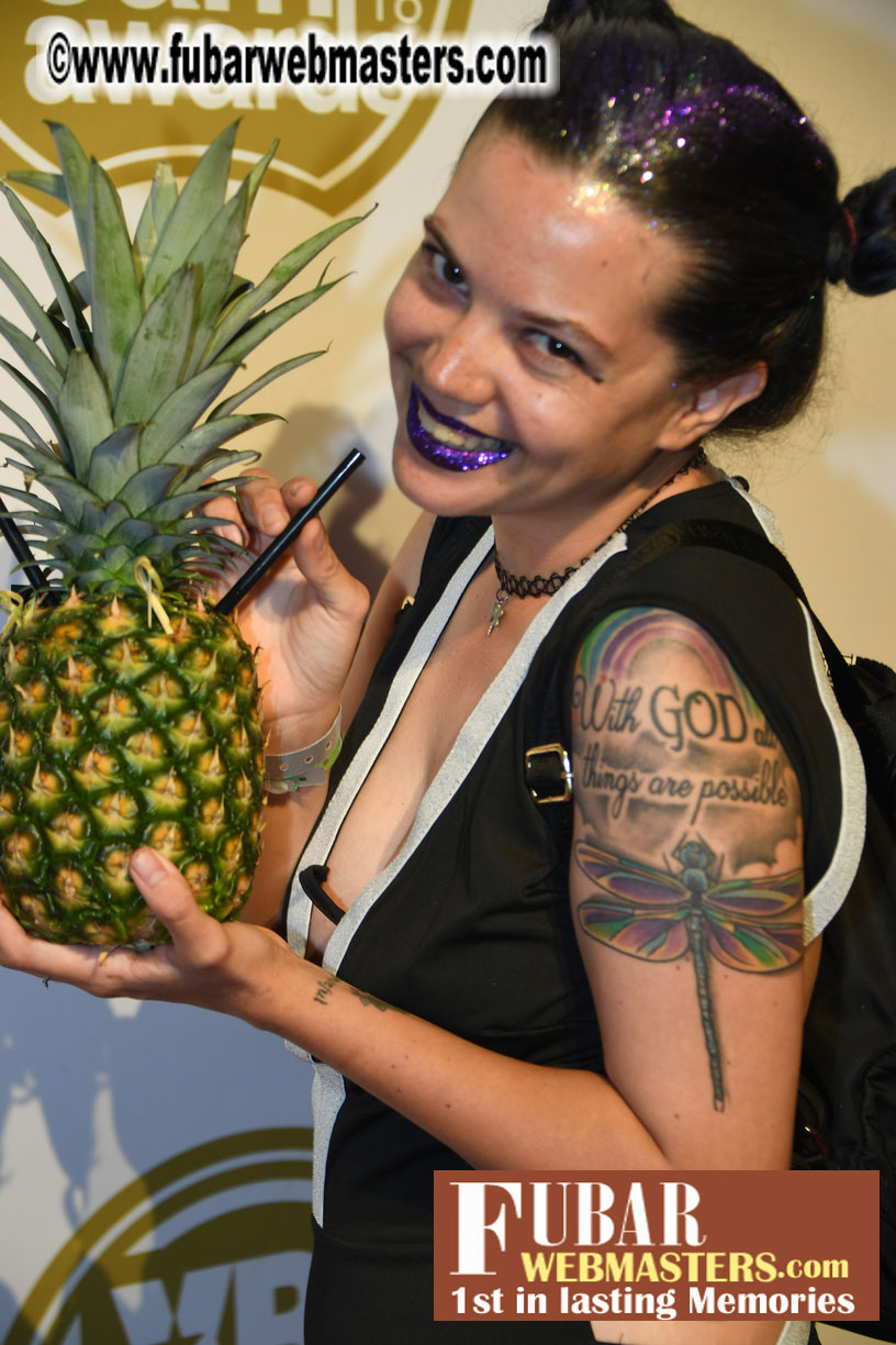 XBIZ Cam Awards Red Carpet