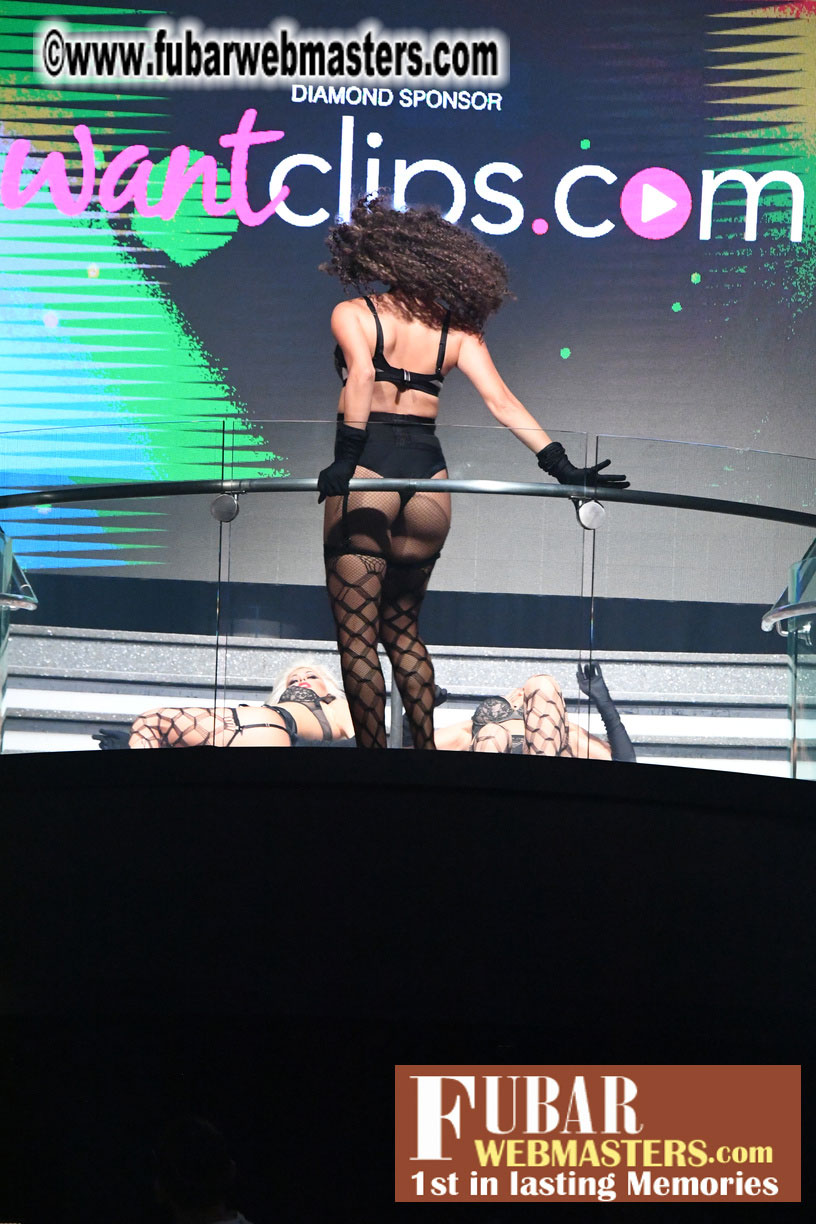 XBIZ Cam Awards Show