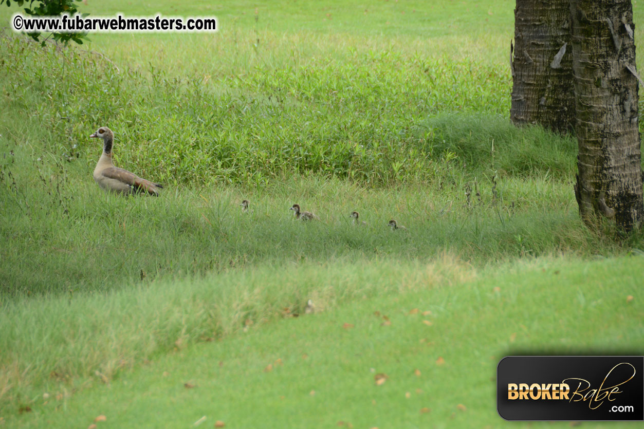 XBIZ Golf Tournament