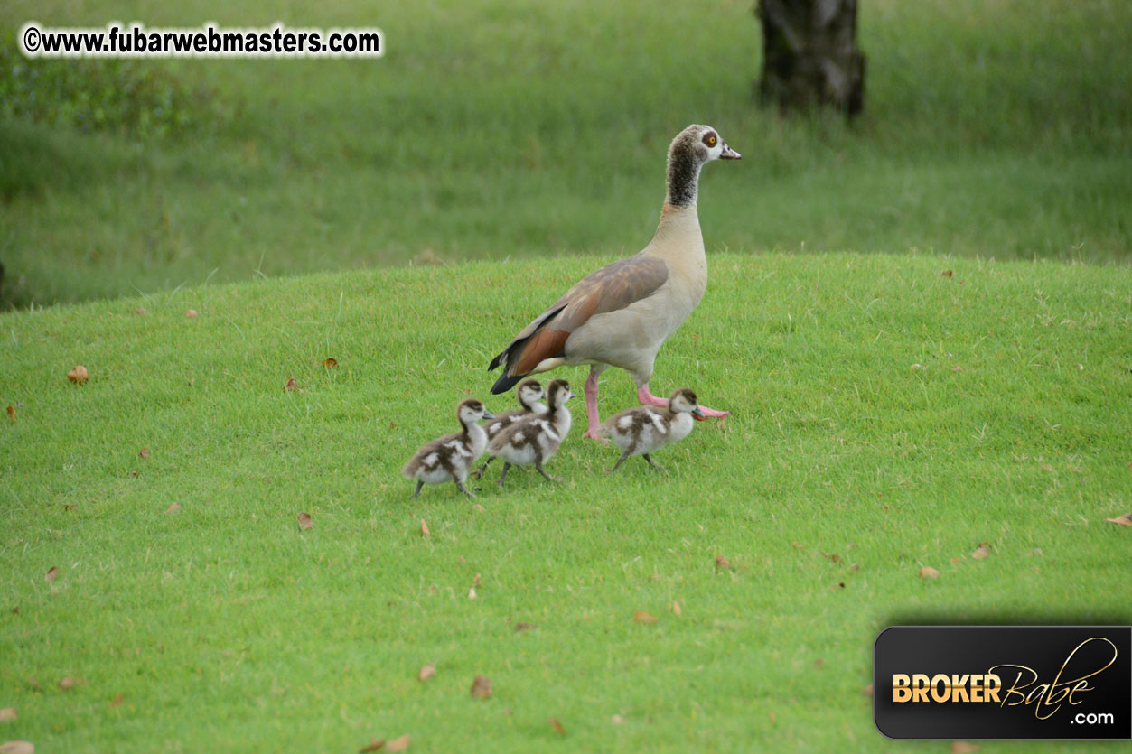 XBIZ Golf Tournament