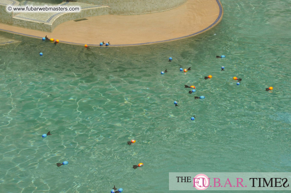 Cabanas and poolside