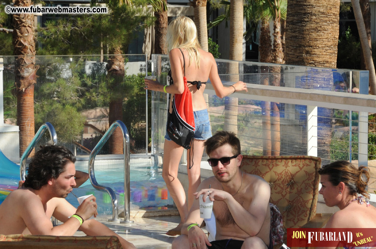 CCBill & Prolatis Welcome Mixer