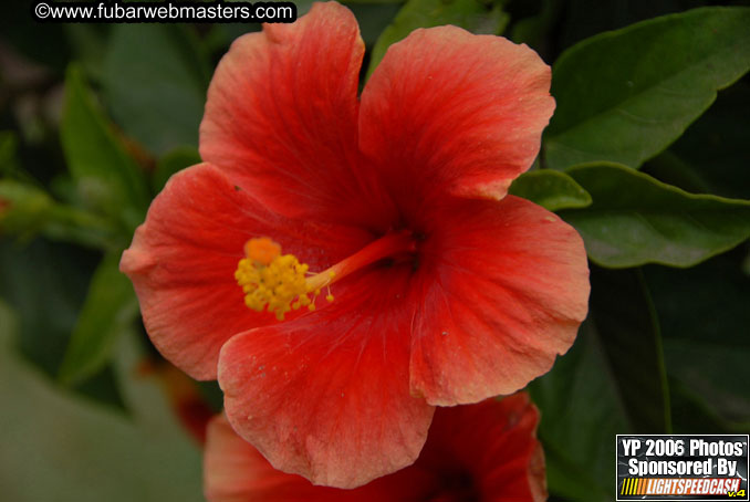 Brunch @ Palapa de Jose