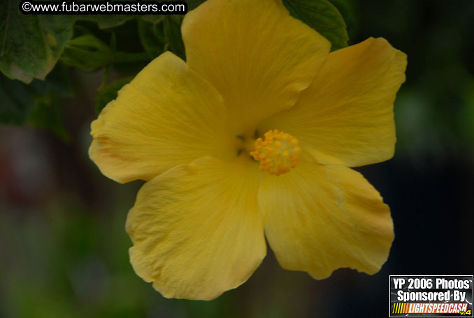 Brunch @ Palapa de Jose