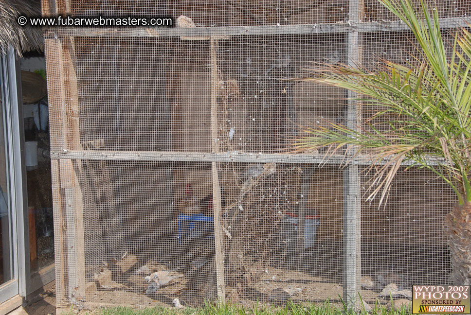 Brunch at Palapa de Jose