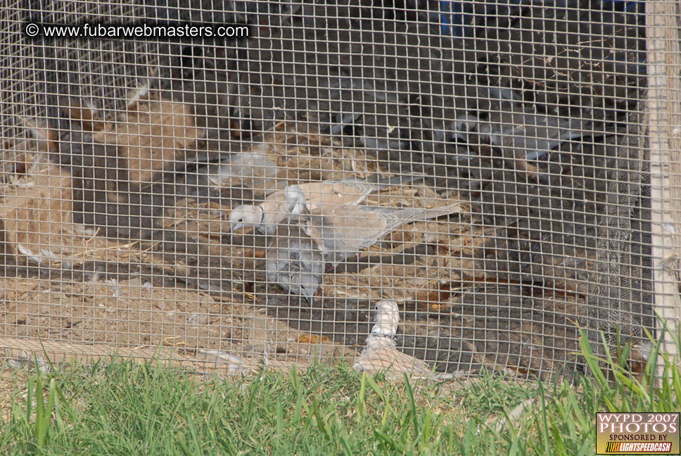 Brunch at Palapa de Jose