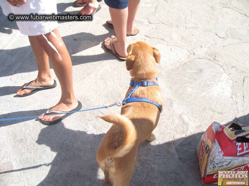 More Addtional Photos