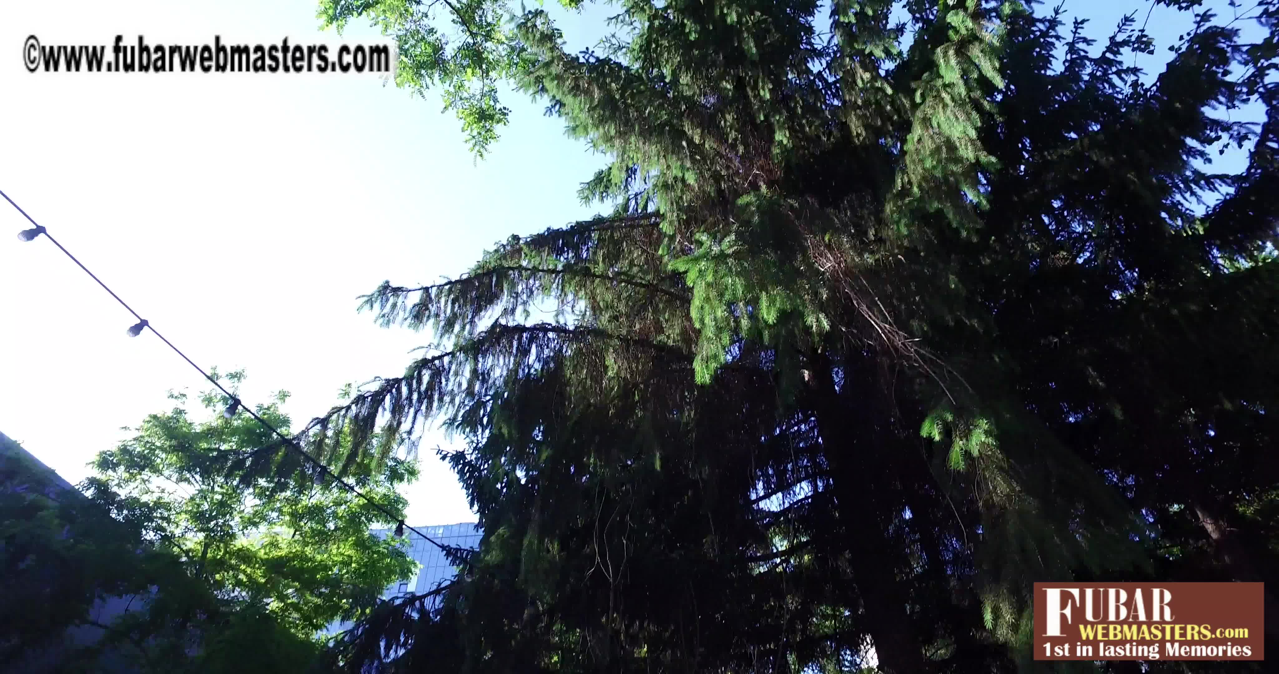 BUCHAREST SUMMIT 2018 - BBQ PARTY - thumbnail