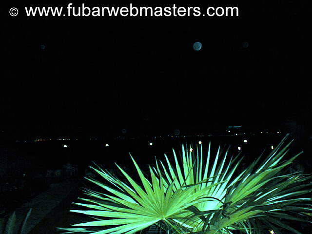 Gay Mega Sites Party 2002