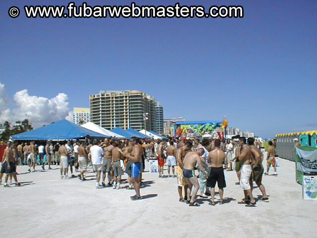 Gay Mega Sites Party 2002