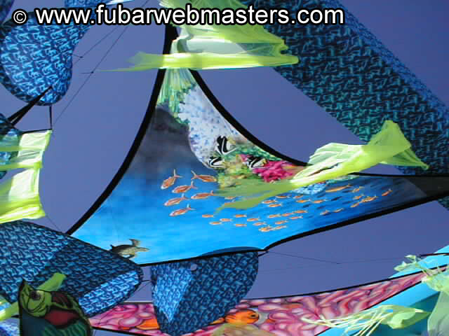 Gay Mega Sites Party 2002