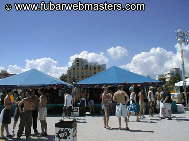 Gay Mega Sites Party 2002