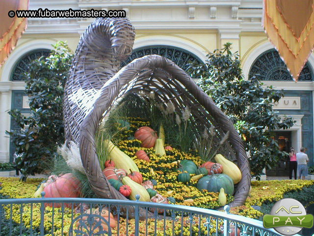 Cybernet @ Las Vegas 2002 Galleries 2002