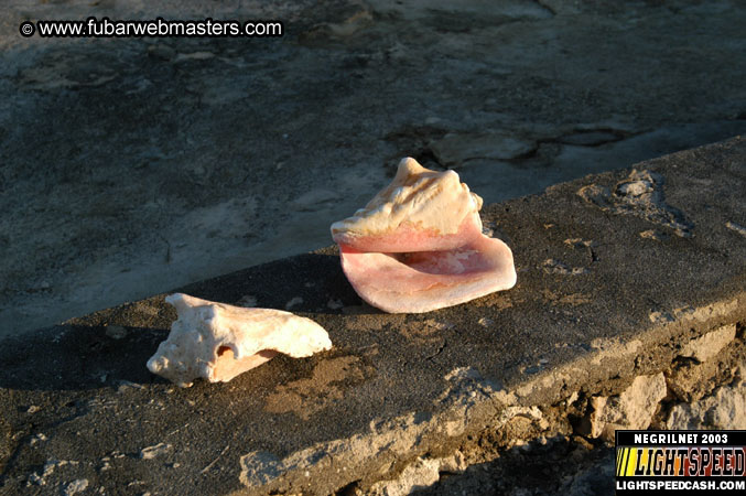 Hotel & surrounding area 2003