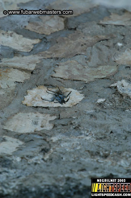 Hotel & surrounding area 2003