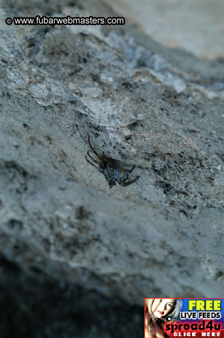 Hotel & surrounding area 2003