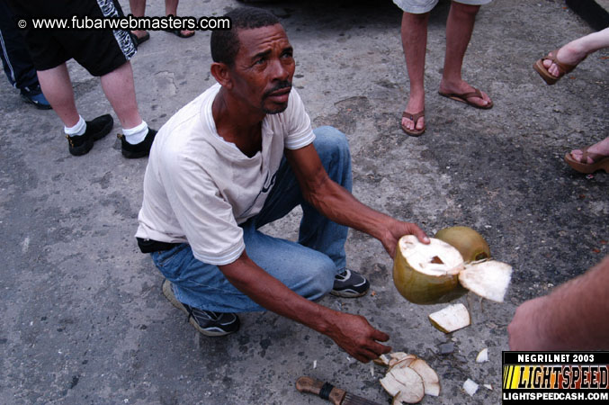 Plantation Ride  2003