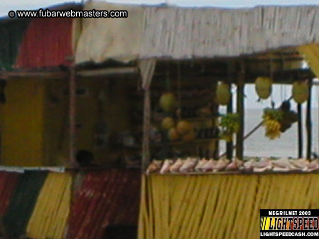 Oh Shit We Gotta Go Home  2003