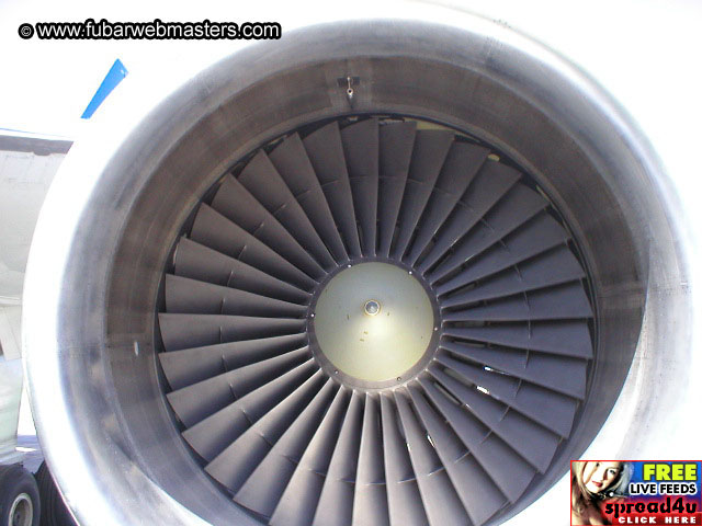 Oh Shit We Gotta Go Home  2003