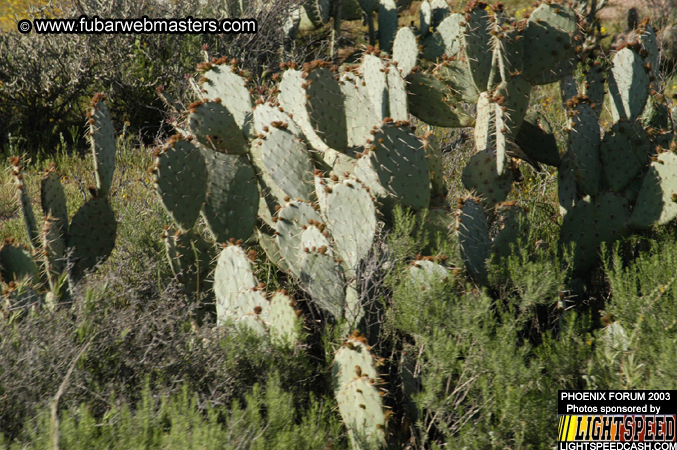 Desert Hummer Tour 2003