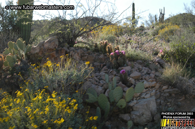 Desert Hummer Tour 2003