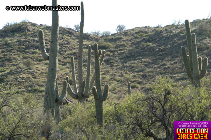 Desert Hummer Tour 2003