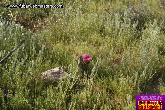 Desert Hummer Tour 2003